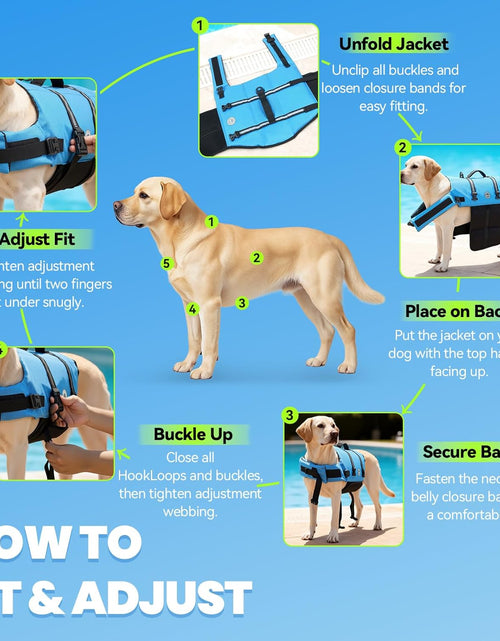 Load image into Gallery viewer, Rip Stop Dog Life Vest, Swimming Vest with Handle, Buoyancy for Doggy Puppy, Dog Life Jacket for Swimming &amp; Boating, M, Blue
