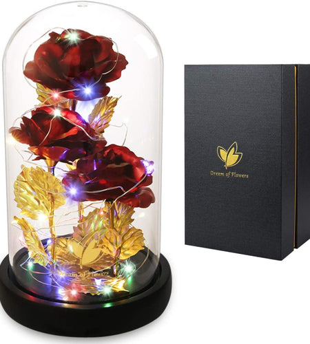 Valentines Day Rose Gifts for Her Galaxy Flower Rose in Glass Dome with 2 Light Modes,Enchanted Rose Light up Rose Valentines Anniversary Birthday Gifts for Wife Girlfriend Women Mom Best Friend Her