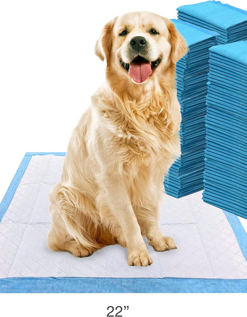 Load image into Gallery viewer, Wee-Wee Superior Performance Pee Pads for Dogs - Dog &amp; Puppy Pads for Potty Training - Dog Housebreaking &amp; Puppy Supplies - 22" X 23" (200 Count)

