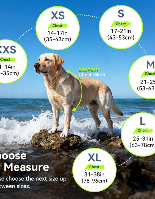 Load image into Gallery viewer, Rip Stop Dog Life Vest, Swimming Vest with Handle, Buoyancy for Doggy Puppy, Dog Life Jacket for Swimming &amp; Boating, M, Blue
